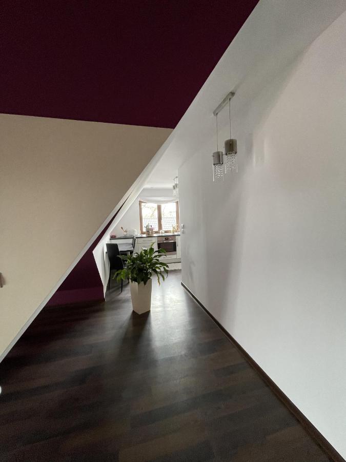 Apartament Podczerwone Czarny Dunajec Eksteriør bilde