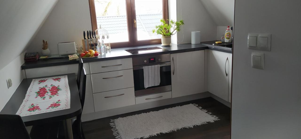Apartament Podczerwone Czarny Dunajec Eksteriør bilde