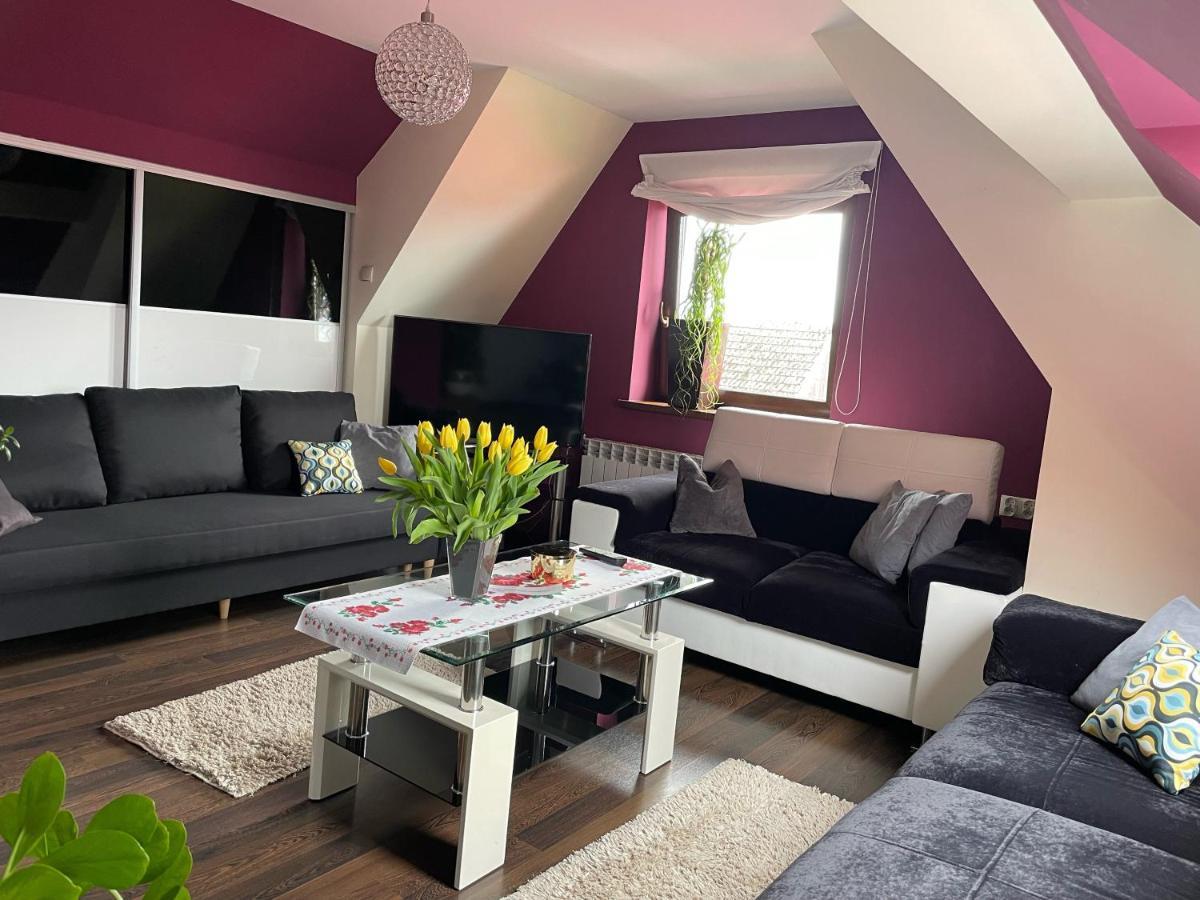 Apartament Podczerwone Czarny Dunajec Eksteriør bilde